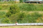 Abfahrt auf der Sommerrodelbahn
