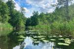 Im Oberbek-Kanal
