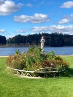 Bild von einer Seerose