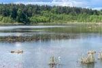 Am kleinen Zotzensee
Am kleinen Zotzensee