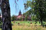 Blick zur Marienkirche
