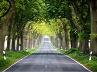 Bild Landstrasse