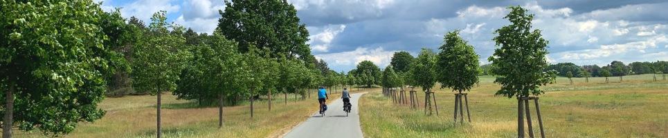 Bild im Header zeigt Radfahrer im Nationalpark Mritz