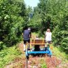 Waldspielplatz
