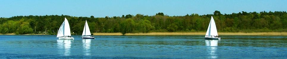 Landschaft bei der Draisinetour