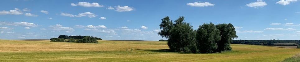 Landschaft bei der Draisinetour