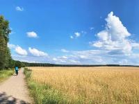 Radweg bei Lrz