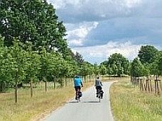 Radweg bei Boek