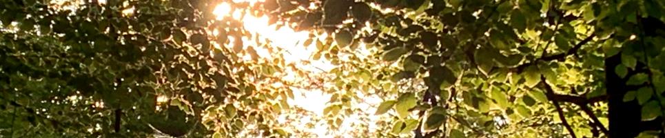 Bild im Header zeigt den Ferienpark aus der Luft