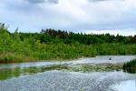 Im Bolter Kanal - Alte Fahrt
