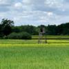 Hochstand bei Amalienhof
