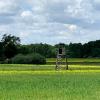 Hochstand auf dem Feld
