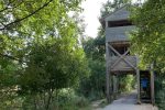 Aussichtsturm am Specker See
